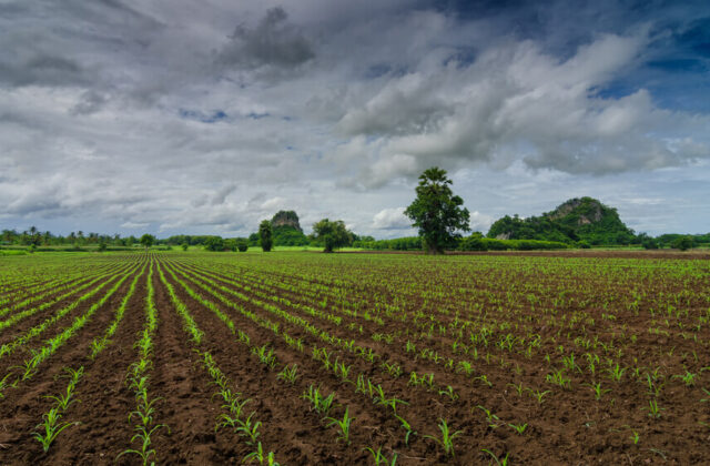 części do pługów Kverneland